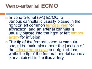 Veno-arterial ECMO
 In veno-arterial (VA) ECMO, a
venous cannulla is usually placed in the
right or left common femoral vein for
extraction, and an arterial cannula is
usually placed into the right or left femoral
artery for infusion.
 The tip of the femoral venous cannula
should be maintained near the junction of
the inferior vena cava and right atrium,
while the tip of the femoral arterial cannula
is maintained in the iliac artery.
 