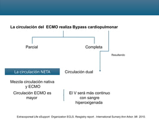 Baypas Neta ECMO circulación extracorporea por membrana | PPTX