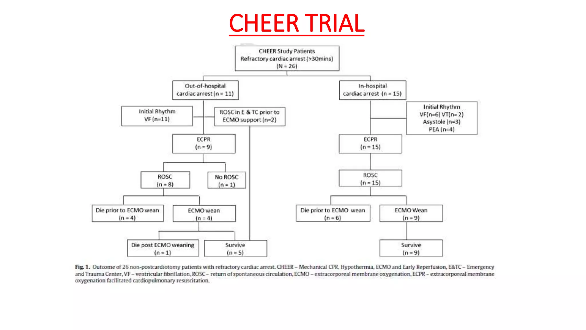 CHEER TRIAL
 