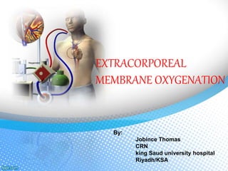 EXTRACORPOREAL
MEMBRANE OXYGENATION
By:
Jobince Thomas
CRN
king Saud university hospital
Riyadh/KSA
 