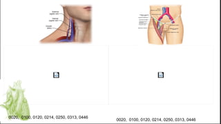 0020, 0100, 0120, 0214, 0250, 0313, 0446
0020, 0100, 0120, 0214, 0250, 0313, 0446
 