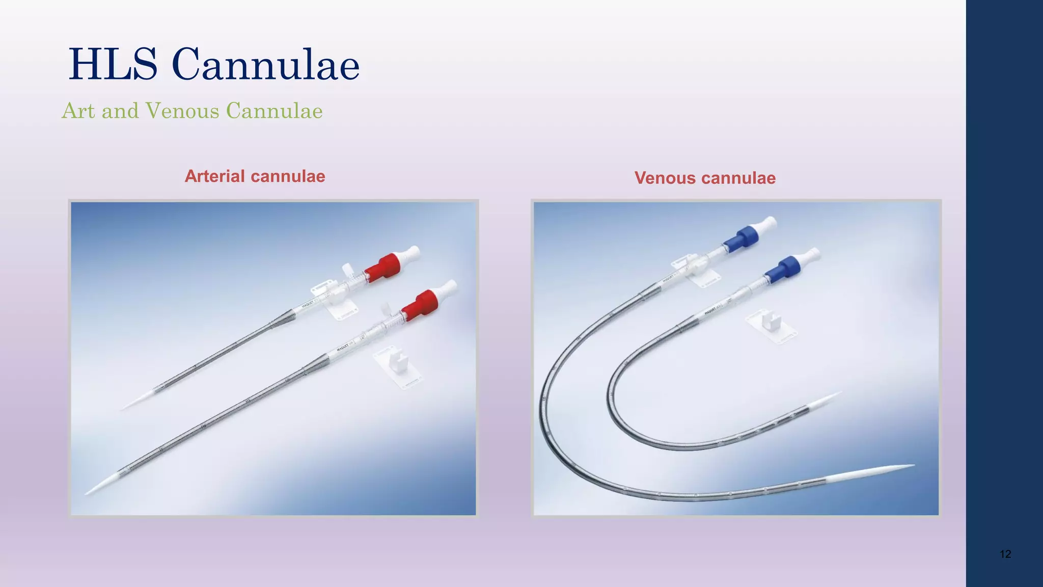 Arterial cannulae Venous cannulae
12
HLS Cannulae
Art and Venous Cannulae
 