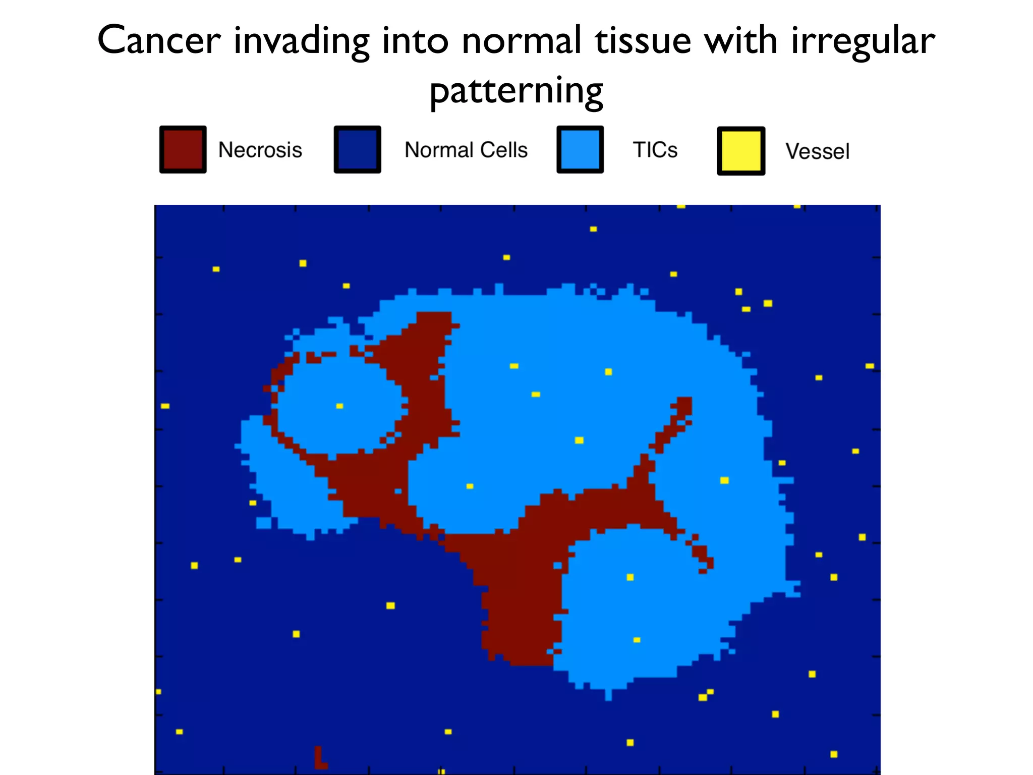Cancer invading into normal tissue with irregular
patterning
 