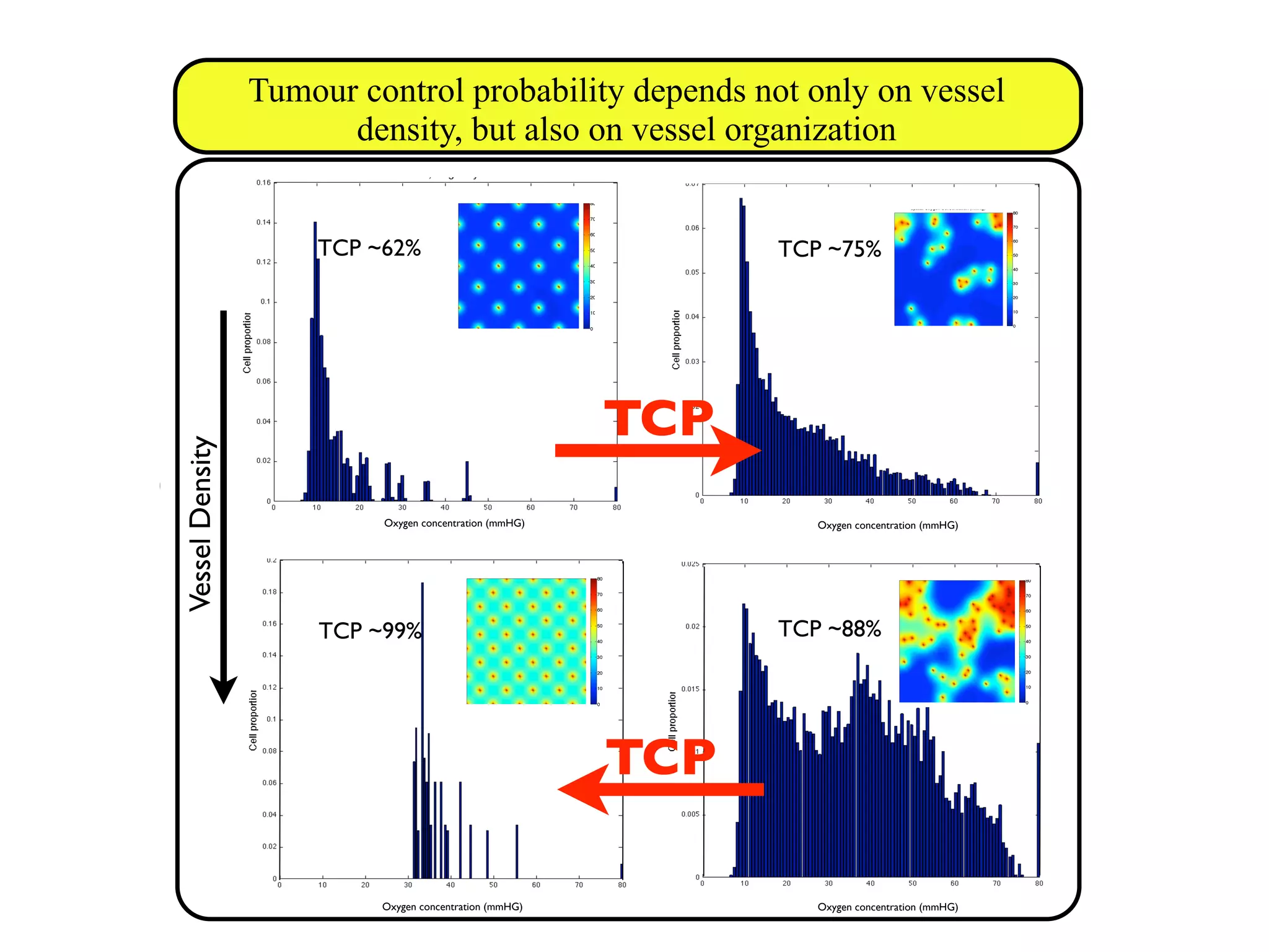 nter and Research Institute, Tampa, FL
itute, University of Oxford, Oxford, UK
n efficacy
e based CA
ur
density
Oxygen concentration (mmHG)
Oxygen concentration (mmHG)
VesselDensity
TCP
TCP
Oxygen concentration (mmHG)
Oxygen concentration (mmHG)
Tumour control probability depends not only on vessel
density, but also on vessel organization
TCP ~62% TCP ~75%
TCP ~99% TCP ~88%
our in
t6
 