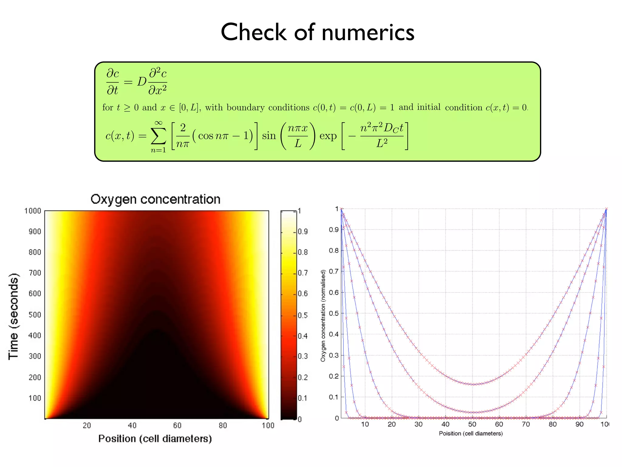 ∂c
∂t
= D
∂2
c
∂x2
(1.6)
[0, L], with boundary conditions c(0, t) = c(0, L) = 1 and and initial
0.
this equation using separation of variables and solving for ˜c = c + 1
) and the boundary conditions ˜c(0, t) = ˜c(0, L) = 0 and initial condition
ﬁnd that the solution (see Appendix A) is given by
) =
∞
n=1

2
nπ

cos nπ − 1


sin

nπx
L

exp

−
n2
π2
DCt
L2

. (1.7)
we plot the oxygen concentation proﬁle through the centre of a 100×100
evoid of cells at one-second intervals. The analytical solution (equation
d to the numerical solution of equation (1.5) at each lattice point for
, 500 and 1, 000 seconds. We ﬁnd excellent agreement between the two
cales and updates
time scales that govern the diﬀusion of nutrients and that at which
anaged by updating the continuous part of the model many times per
This can become computationally expensive in this explicit scheme,
seek to minimize this number. However, for stability, we require that
∂c
∂t
= D
∂2
c
∂x2
(1.6)
for t ≥ 0 and x ∈ [0, L], with boundary conditions c(0, t) = c(0, L) = 1 and and initial
condition c(x, t) = 0.
We can solve this equation using separation of variables and solving for ˜c = c + 1
which satisﬁes (1.6) and the boundary conditions ˜c(0, t) = ˜c(0, L) = 0 and initial condition
˜c(x, t) = −1. We ﬁnd that the solution (see Appendix A) is given by
c(x, t) =
∞
n=1

2
nπ

cos nπ − 1


sin

nπx
L

exp

−
n2
π2
DCt
L2

. (1.7)
In Figure 1.8 we plot the oxygen concentation proﬁle through the centre of a 100×100
domain which is devoid of cells at one-second intervals. The analytical solution (equation
(1.7)) is compared to the numerical solution of equation (1.5) at each lattice point for
time t = 1, 10, 100, 500 and 1, 000 seconds. We ﬁnd excellent agreement between the two
solutions.
1.2.3.4 Time scales and updates
The diﬀerence in time scales that govern the diﬀusion of nutrients and that at which
cells operate is managed by updating the continuous part of the model many times per
cellular time step. This can become computationally expensive in this explicit scheme,
and therefore, we seek to minimize this number. However, for stability, we require that
the ∆tDc/∆x2
term from equation (1.5) is less than 0.25 [56]. We therefore choose
∆tDc/∆x2
= 0.1, which equates to updating oxygen every 0.25 seconds, or approximately
230, 400 times per cell cycle based on the parameters chosen (see Table 1.1). While we
assume the average cell cycle time to be τ = 16 hours, it is well known that cells in tissues
are not synchronized, and also that cell fate decisions such as apoptosis are made on
shorter time scales. To model this heterogeneity in division time and to more accurately
match the ﬁner time scale associated with cell death due to microenvironmental cues
∂c
∂t
= D
∂2
c
∂x2
(1.6)
for t ≥ 0 and x ∈ [0, L], with boundary conditions c(0, t) = c(0, L) = 1 and and initial
condition c(x, t) = 0.
We can solve this equation using separation of variables and solving for ˜c = c + 1
which satisﬁes (1.6) and the boundary conditions ˜c(0, t) = ˜c(0, L) = 0 and initial condition
˜c(x, t) = −1. We ﬁnd that the solution (see Appendix A) is given by
c(x, t) =
∞
n=1

2
nπ

cos nπ − 1


sin

nπx
L

exp

−
n2
π2
DCt
L2

. (1.7)
In Figure 1.8 we plot the oxygen concentation proﬁle through the centre of a 100×100
domain which is devoid of cells at one-second intervals. The analytical solution (equation
(1.7)) is compared to the numerical solution of equation (1.5) at each lattice point for
time t = 1, 10, 100, 500 and 1, 000 seconds. We ﬁnd excellent agreement between the two
solutions.
1.2.3.4 Time scales and updates
The diﬀerence in time scales that govern the diﬀusion of nutrients and that at which
cells operate is managed by updating the continuous part of the model many times per
cellular time step. This can become computationally expensive in this explicit scheme,
and therefore, we seek to minimize this number. However, for stability, we require that
the ∆tDc/∆x2
term from equation (1.5) is less than 0.25 [56]. We therefore choose
∆tDc/∆x2
= 0.1, which equates to updating oxygen every 0.25 seconds, or approximately
230, 400 times per cell cycle based on the parameters chosen (see Table 1.1). While we
assume the average cell cycle time to be τ = 16 hours, it is well known that cells in tissues
are not synchronized, and also that cell fate decisions such as apoptosis are made on
shorter time scales. To model this heterogeneity in division time and to more accurately
match the ﬁner time scale associated with cell death due to microenvironmental cues
∂c
∂t
=
for t ≥ 0 and x ∈ [0, L], with boundary con
condition c(x, t) = 0.
We can solve this equation using separa
which satisﬁes (1.6) and the boundary condit
˜c(x, t) = −1. We ﬁnd that the solution (see
c(x, t) =
∞
n=1

2
nπ

cos nπ − 1


In Figure 1.8 we plot the oxygen concenta
domain which is devoid of cells at one-second
(1.7)) is compared to the numerical solutio
time t = 1, 10, 100, 500 and 1, 000 seconds. W
solutions.
1.2.3.4 Time scales and updates
The diﬀerence in time scales that govern t
cells operate is managed by updating the co
cellular time step. This can become compu
and therefore, we seek to minimize this num
the ∆tDc/∆x2
term from equation (1.5) i
∆tDc/∆x2
= 0.1, which equates to updating
230, 400 times per cell cycle based on the p
assume the average cell cycle time to be τ =
are not synchronized, and also that cell fa
shorter time scales. To model this heterogen
match the ﬁner time scale associated with
[68], we choose to update the HCA 100 t
∂c
∂t
= D
∂ c
∂x2
(1.6)
for t ≥ 0 and x ∈ [0, L], with boundary conditions c(0, t) = c(0, L) = 1 and and initial
condition c(x, t) = 0.
We can solve this equation using separation of variables and solving for ˜c = c + 1
which satisﬁes (1.6) and the boundary conditions ˜c(0, t) = ˜c(0, L) = 0 and initial condition
˜c(x, t) = −1. We ﬁnd that the solution (see Appendix A) is given by
c(x, t) =
∞
n=1

2
nπ

cos nπ − 1


sin

nπx
L

exp

−
n2
π2
DCt
L2

. (1.7)
In Figure 1.8 we plot the oxygen concentation proﬁle through the centre of a 100×100
domain which is devoid of cells at one-second intervals. The analytical solution (equation
(1.7)) is compared to the numerical solution of equation (1.5) at each lattice point for
time t = 1, 10, 100, 500 and 1, 000 seconds. We ﬁnd excellent agreement between the two
solutions.
1.2.3.4 Time scales and updates
The diﬀerence in time scales that govern the diﬀusion of nutrients and that at which
cells operate is managed by updating the continuous part of the model many times per
cellular time step. This can become computationally expensive in this explicit scheme,
and therefore, we seek to minimize this number. However, for stability, we require that
the ∆tDc/∆x2
term from equation (1.5) is less than 0.25 [56]. We therefore choose
∆tDc/∆x2
= 0.1, which equates to updating oxygen every 0.25 seconds, or approximately
230, 400 times per cell cycle based on the parameters chosen (see Table 1.1). While we
assume the average cell cycle time to be τ = 16 hours, it is well known that cells in tissues
are not synchronized, and also that cell fate decisions such as apoptosis are made on
shorter time scales. To model this heterogeneity in division time and to more accurately
match the ﬁner time scale associated with cell death due to microenvironmental cues
Check of numerics
 