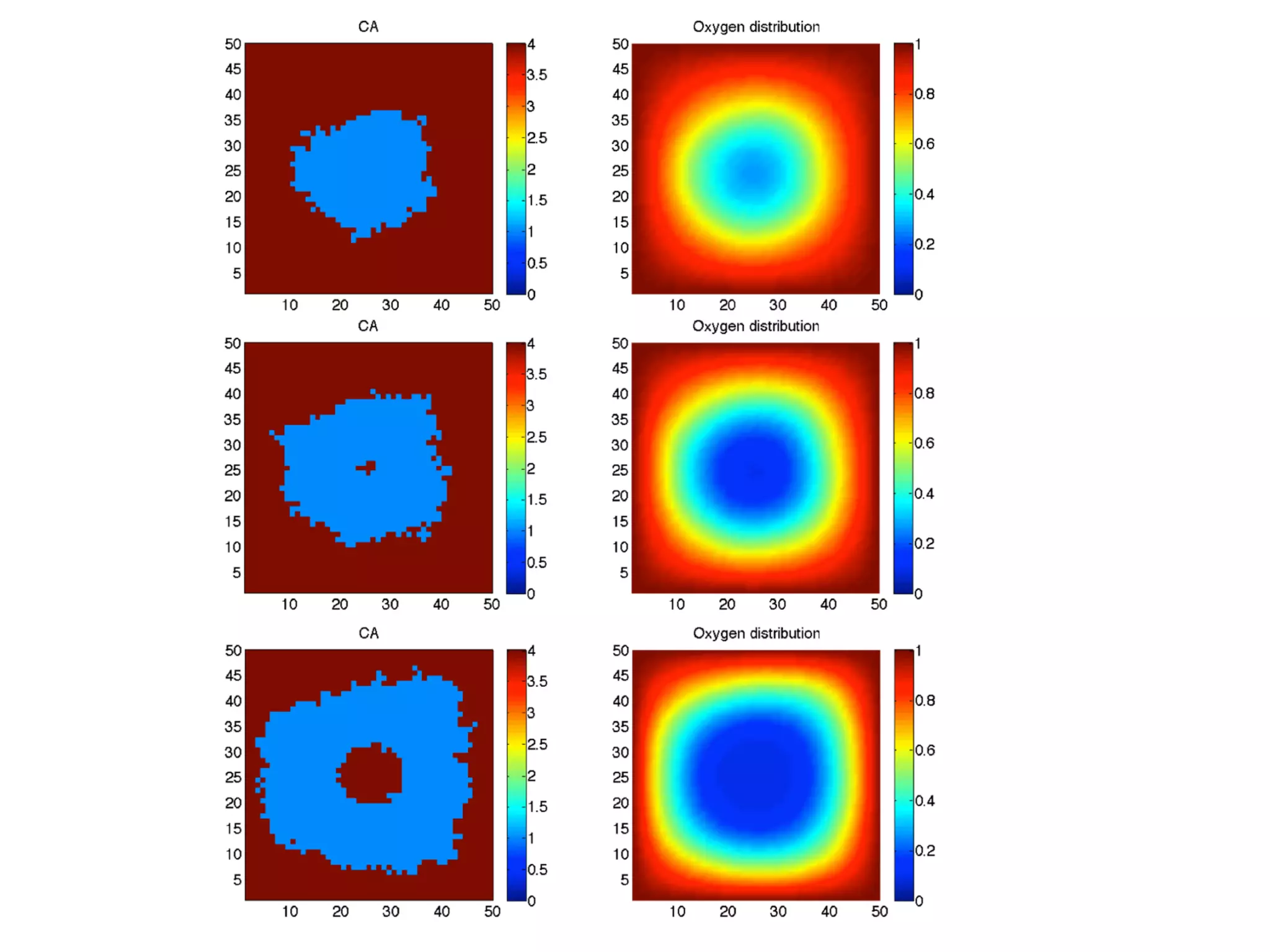 Ecmtb2014 vascular patterning