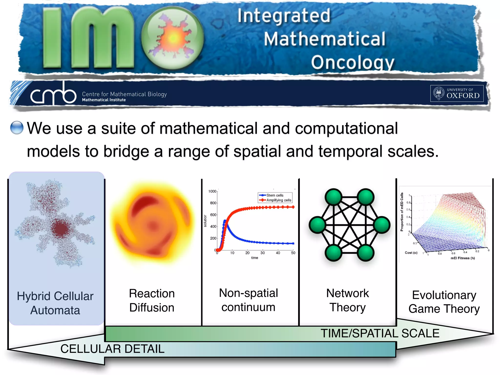 We use a suite of mathematical and computational
models to bridge a range of spatial and temporal scales.
TIME/SPATIAL SCALE
CELLULAR DETAIL
Evolutionary
Game Theory
Reaction
Diffusion Models
Hybrid Cellular
Automata
Cellular Potts
Model
Immersed
Boundary Model
Hybrid Cellular
Automata
Non-spatial
continuum
Reaction
Diffusion
Network
Theory
 