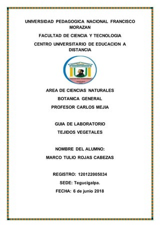 UNIVERSIDAD PEDAGOGICA NACIONAL FRANCISCO
MORAZAN
FACULTAD DE CIENCIA Y TECNOLOGIA
CENTRO UNIVERSITARIO DE EDUCACION A
DISTANCIA
AREA DE CIENCIAS NATURALES
BOTANICA GENERAL
PROFESOR CARLOS MEJIA
GUIA DE LABORATORIO
TEJIDOS VEGETALES
NOMBRE DEL ALUMNO:
MARCO TULIO ROJAS CABEZAS
REGISTRO: 120122005034
SEDE: Tegucigalpa.
FECHA: 6 de junio 2018
 