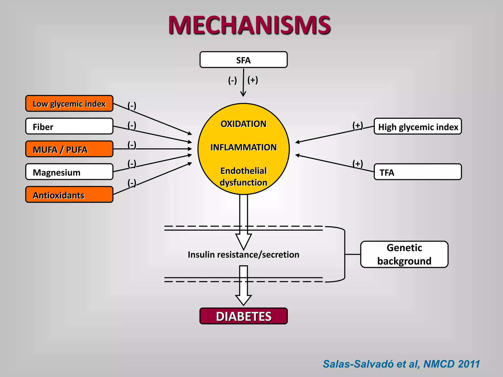 OXIDATION
INFLAMMATION
Endothelial
dysfunction
Insulin resistance/secretion
DIABETES
Genetic
background
Low glycemic index
Fiber
MUFA / PUFA
Magnesium
Antioxidants
(-)
(-)
(-)
(-)
(-)
High glycemic index
SFA
TFA
(+)
(+)
(+)
MECHANISMS
Salas-Salvadó et al, NMCD 2011
(-)
 