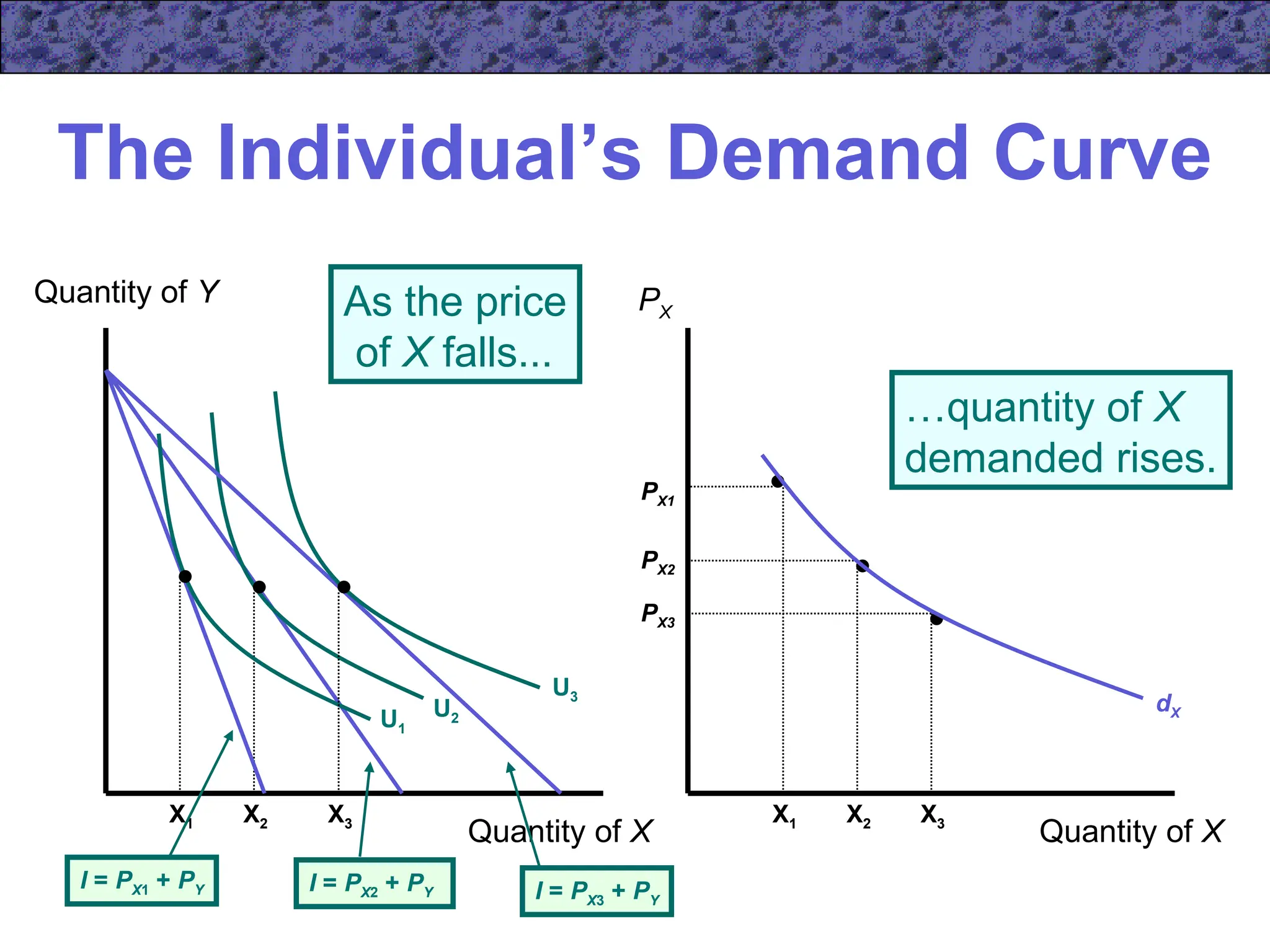 The Individual’s Demand Curve
Quantity of Y
Quantity of X Quantity of X
PX
X2
PX2
U2
X2
I = PX2 + PY
X1
PX1
U1
X1
I = PX1 + PY
X3
PX3
X3
U3
I = PX3 + PY
As the price
of X falls...
dX
…quantity of X
demanded rises.
 