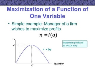 Comprehensive Guide to Mathematical Optimization in Microeconomics | PPT