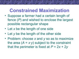Comprehensive Guide to Mathematical Optimization in Microeconomics | PPT