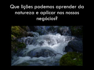 Que lições podemos aprender da
natureza e aplicar nos nossos
negócios?
 
