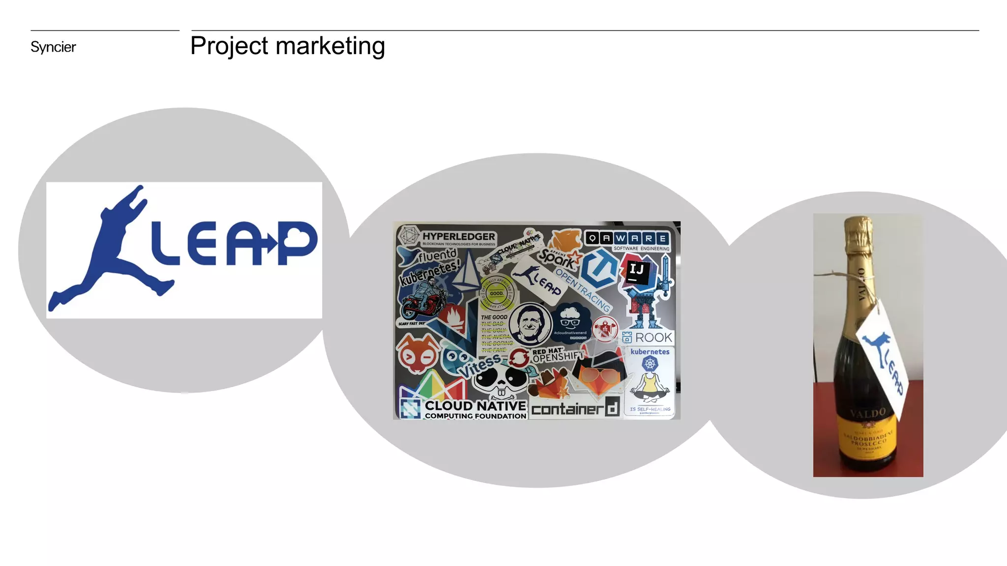 Project marketing
 