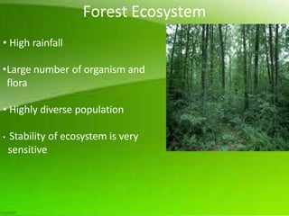 eco-1.pptx