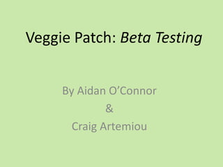 Veggie Patch: Beta Testing By Aidan O’Connor & Craig Artemiou 