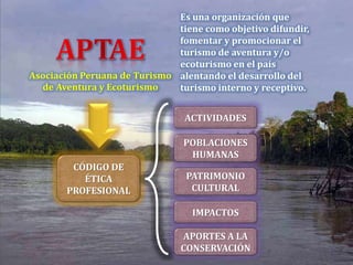 Es una organización que
tiene como objetivo difundir,
fomentar y promocionar el
turismo de aventura y/o
ecoturismo en el país
alentando el desarrollo del
turismo interno y receptivo.
Asociación Peruana de Turismo
de Aventura y Ecoturismo
CÓDIGO DE
ÉTICA
PROFESIONAL
ACTIVIDADES
POBLACIONES
HUMANAS
PATRIMONIO
CULTURAL
IMPACTOS
APORTES A LA
CONSERVACIÓN
 