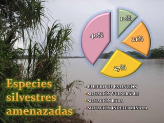 12%
21%
27%
40%
PELIGRO DE EXTINCIÓN
SITUACIÓN VULNERABLE
SITUACIÓN RARA
SITUACIÓN INDETERMINADA
 