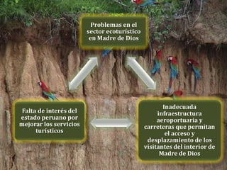 Problemas en el
sector ecoturístico
en Madre de Dios
Inadecuada
infraestructura
aeroportuaria y
carreteras que permitan
el acceso y
desplazamiento de los
visitantes del interior de
Madre de Dios
Falta de interés del
estado peruano por
mejorar los servicios
turísticos
 