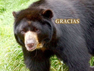 Ecoturismo en Madre de Dios