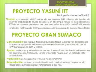 PROYECTO YASUNÍ ITT Conservación:  del Parque Nacional Sumaco Napo-Galeras y el desarrollo de la zona de apoyo de la Reserva de Biosfera Sumaco, y es apoyado por el KfW Bankgroup, la GTZ, y el DED. Apoya:  la siembra y resiembra de cacao tipo nacional dentro de la Reserva en los cantones de Archidona, Loreto y Gonzalo Pizarro con un total de 1157 productores. Producción:  de hongos ostra, (100 und. Prod.) SUPERMAXI   Reforestación:  en las comunidades de la vía Hollín-Loreto se ha producido 20000 plantas maderables y reforestado a 200 has.   BIODIVERSIDAD  AREAS PROTEGIDAS (Ishpingo-Tambococha-Tiputini)  Plantea:  compromiso del Ecuador de no explotar 846 millones de barriles de reservas probadas de crudo pesado10 en el campo Yasuní-ITT que contiene el 20% de las reservas petroleras del país y así evitar la emisión de 407 millones de toneladas métricas de CO2 provenientes de la quema de combustibles fósiles   PROYECTO GRAN SUMACO 