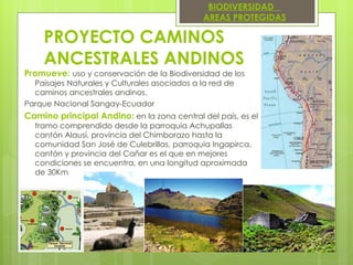 PROYECTO CAMINOS ANCESTRALES ANDINOS   Promueve:   uso y conservación de la Biodiversidad de los Paisajes Naturales y Culturales asociados a la red de caminos ancestrales andinos. Parque Nacional Sangay-Ecuador Camino principal Andino:  en la zona central del país, es el tramo comprendido desde la parroquia Achupallas cantón Alausí, provincia del Chimborazo hasta la comunidad San José de Culebrillas, parroquia Ingapirca, cantón y provincia del Cañar es el que en mejores condiciones se encuentra, en una longitud aproximada de 30Km   BIODIVERSIDAD  AREAS PROTEGIDAS 