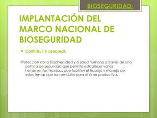 IMPLANTACIÓN DEL MARCO NACIONAL DE BIOSEGURIDAD Contribuir y asegurar:  Protección de la biodiversidad y a salud humana a través de una política de seguridad que permita establecer varias herramientas técnicas que faciliten el trabajo y manejo de estos temas que son sensibles para el área productiva. BIOSEGURIDAD: 