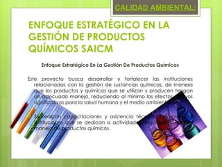 Enfoque Estratégico En La Gestión De Productos Químicos Este proyecto busca desarrollar y fortalecer las instituciones relacionadas con la gestión de sustancias químicas, de manera que los productos y químicos que se utilizan y producen tengan un adecuado manejo, reduciendo al mínimo los efectos nocivos significativos para la salud humana y el medio ambiente. Se realizan capacitaciones y asistencia técnica a empresas e instituciones que se dedican a actividades relacionadas con el manejo de productos químicos.  CALIDAD AMBIENTAL: ENFOQUE ESTRATÉGICO EN LA GESTIÓN DE PRODUCTOS QUÍMICOS SAICM 