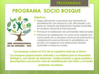 PROGRAMA  SOCIO BOSQUE   PROGRAMAS Objetivos: Seguir alentando a personas que fomenten la sensibilización con respecto a las dificultades y los éxitos en materia de ordenación forestal sostenible en el plano nacional e internacional. Promover la realización de actividades relacionadas Promover la celebración no como acto aislado sino como parte de un proceso continuo de promoción y colaboración para potenciar la sensibilidad y la acción con respecto a la ordenación forestal sostenible a todos los niveles. "Los bosques cubren el 31% de la superficie total de la Tierra“ “ Los bosques proporcionan vivienda y un hábitat para la diversidad biológica, son fuente de alimentos, medicamentos y agua potable y desempeñan una función vital de estabilización del clima y el medio ambiente mundiales.   