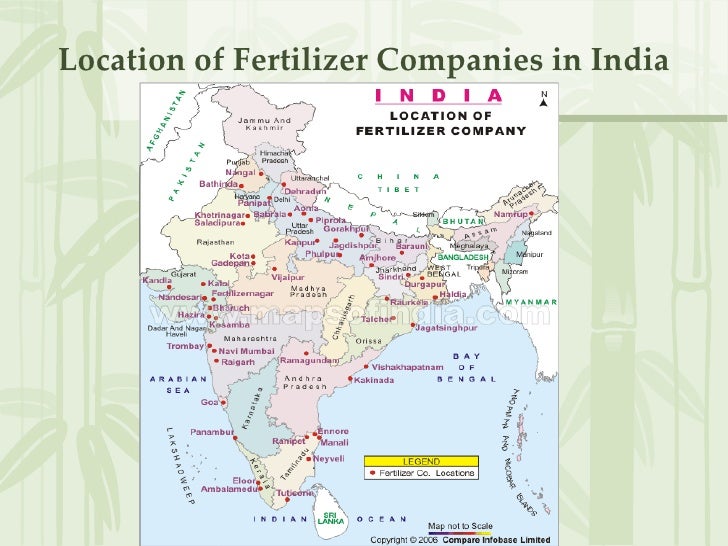 fertilizer
