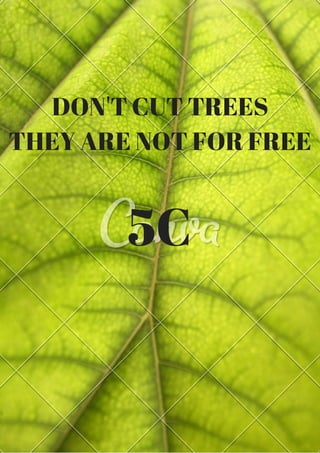 5C
DON'T CUT TREES
THEY ARE NOT FOR FREE
 