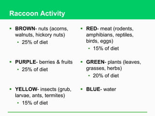 Raccoon Activity
 BROWN- nuts (acorns,
walnuts, hickory nuts)
• 25% of diet
 PURPLE- berries & fruits
• 25% of diet
 YELLOW- insects (grub,
larvae, ants, termites)
• 15% of diet
 RED- meat (rodents,
amphibians, reptiles,
birds, eggs)
• 15% of diet
 GREEN- plants (leaves,
grasses, herbs)
• 20% of diet
 BLUE- water
 