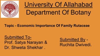 University Of Allahabad
Department Of Botany
Topic - Economic Importance Of Family Rutaceae
Submitted To-
Prof. Satya Narayan &
Dr. Shweta Shekhar .
Submitted By -
Ruchita Dwivedi.
 