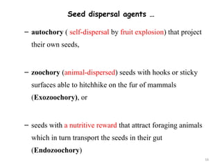 Ecology of soil seed Bank ecology of soil | PPTX
