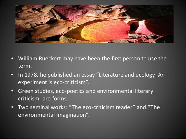 New historicist criticism essay