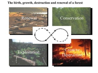 The birth, growth, destruction and renewal of a forest Exploitation Conservation Creative Destruction Renewal 