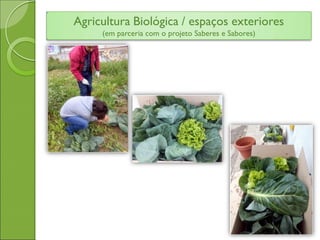 Agricultura Biológica / espaços exteriores
(em parceria com o projeto Saberes e Sabores)
 