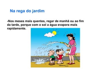 Na rega do jardim -Nos meses mais quentes, regar de manhã ou ao fim da tarde, porque com o sol a água evapora mais rapidamente. 