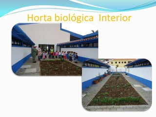 Horta biológica Interior
 