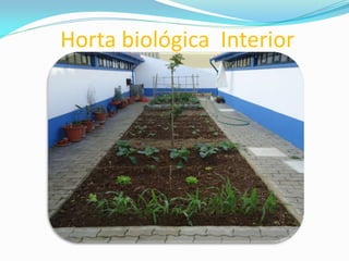 Horta biológica Interior
 