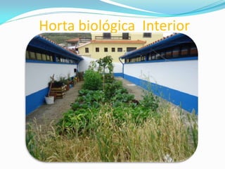 Horta biológica Interior
 