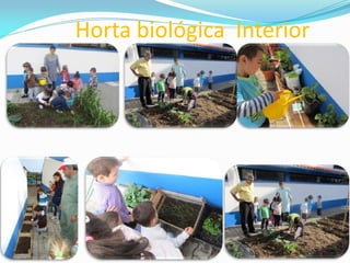 Horta biológica Interior
 
