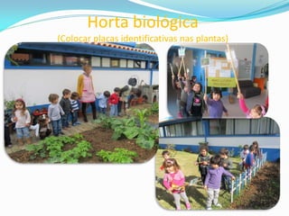 Horta biológica
(Colocar placas identificativas nas plantas)
 