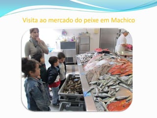 Visita ao mercado do peixe em Machico
 