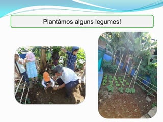 Plantámos alguns legumes!
 