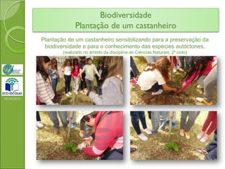 Biodiversidade
Plantação de um castanheiro
2014/2015
Plantação de um castanheiro sensibilizando para a preservação da
biodiversidade e para o conhecimento das espécies autóctones,
(realizado no âmbito da disciplina de Ciências Naturais, 2º ciclo)
 