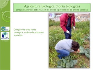 Agricultura Biológica (horta biológica)
(projeto Saberes e Sabores, com os alunos e professores do Ensino Especial)
2014/2015
Criação de uma horta
biológica, cultivo de produtos
variados.
 