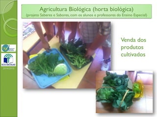 2014/2015
Foto alunos vendendo
Agricultura Biológica (horta biológica)
(projeto Saberes e Sabores, com os alunos e professores do Ensino Especial)
Venda dos
produtos
cultivados
 