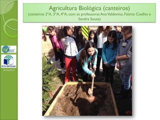 Agricultura Biológica (canteiros)
(canteiros 2ºA, 3ºA, 4ºA, com as professoras AnaValdevino, Fátima Coelho e
Sandra Sousa)
2014/2015
 