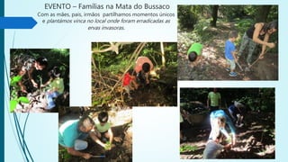 EVENTO – Famílias na Mata do Bussaco
Com as mães, pais, irmãos partilhamos momentos únicos
e plantámos vinca no local onde foram erradicadas as
ervas invasoras.
 